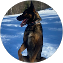 Camss profile picture