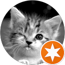 Olivier Bruno profile picture